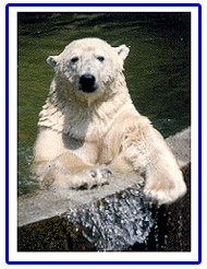 Polar2